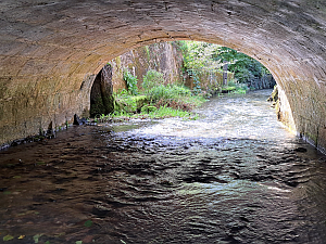 Rivière sous un pont