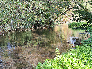 Cours d'eau