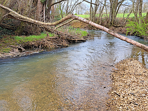 Ruisseau
