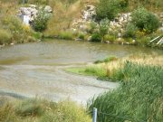 Prlvement sur plan d'eau